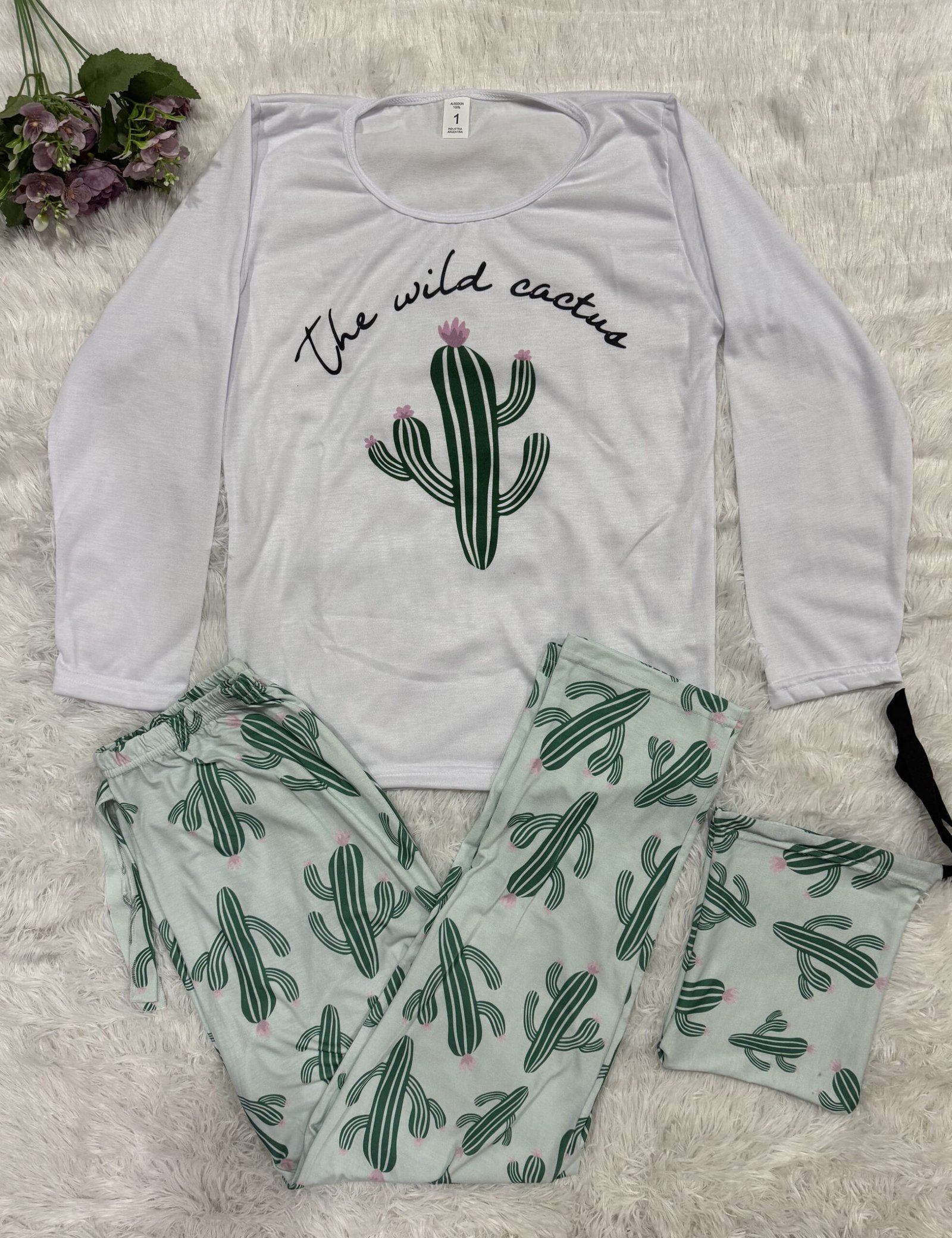 cactus 2